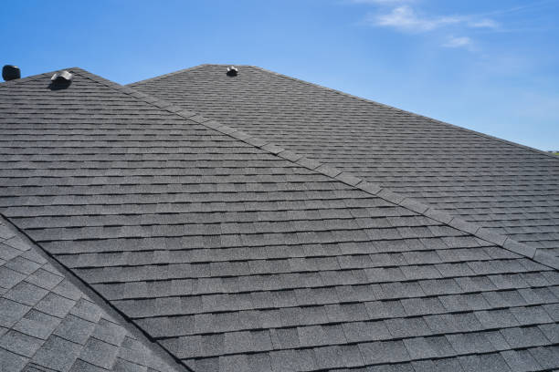 Best Solar Panel Roofing Installation  in Pike Road, AL